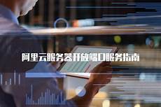 阿里云香港服务器开端口